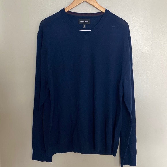 Bonobos Washable Merino V-Neck Sweater - Picture 6 of 8